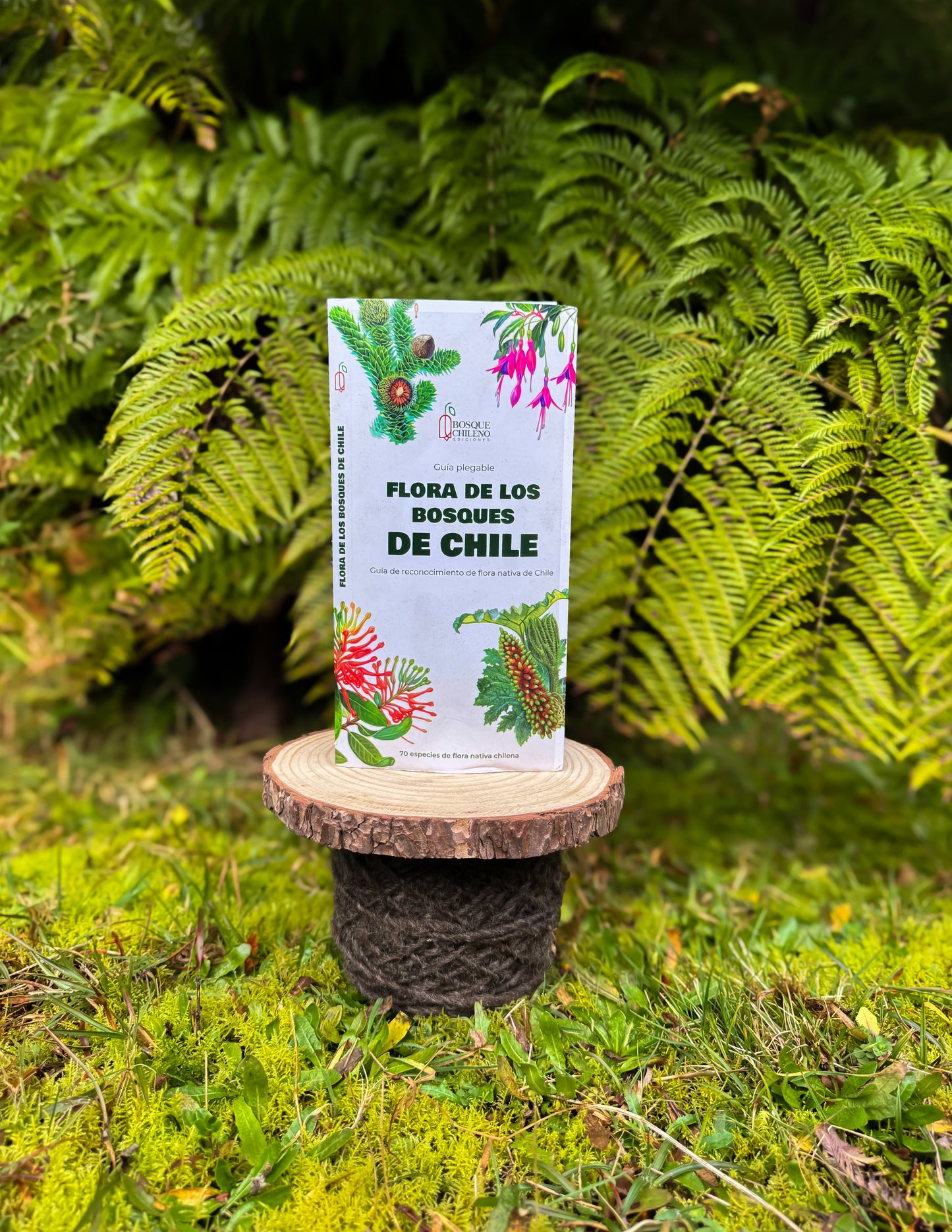 Guía flora de los bosques de Chile