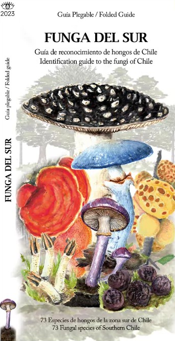 Funga del sur - Guía desplegable de hongos