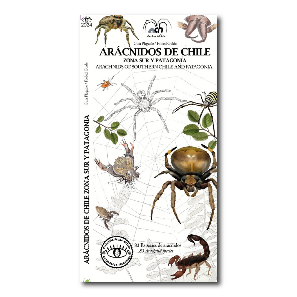 Guía arácnidos de Chile: Zona Sur y Patagonia