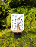 Aves de Chile - Mapa desplegable