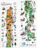 Pueblos originarios - Mapas desplegables