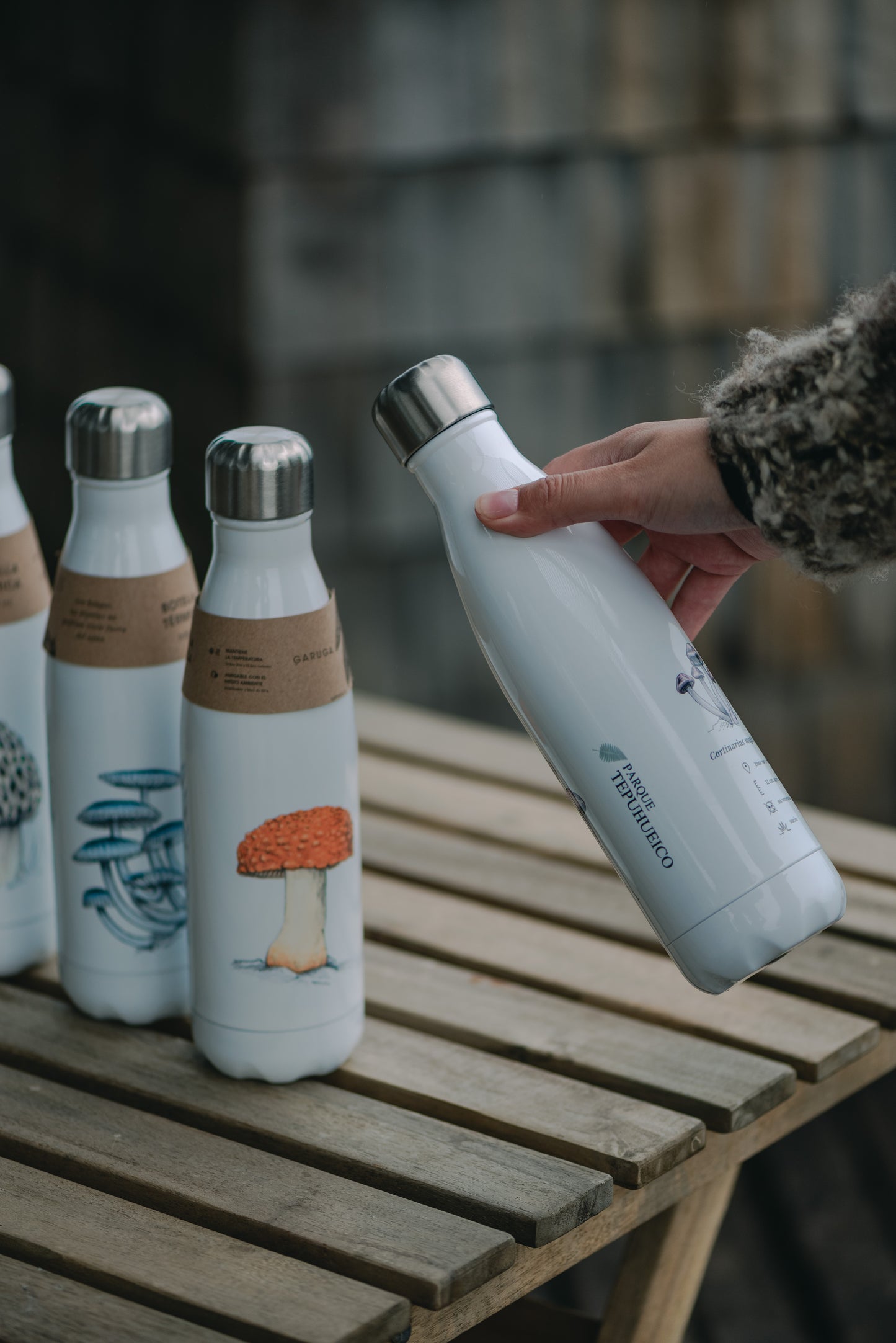 Botella Térmica – Mycena