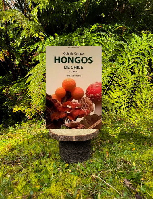 Guia de Campo Hongos de Chile