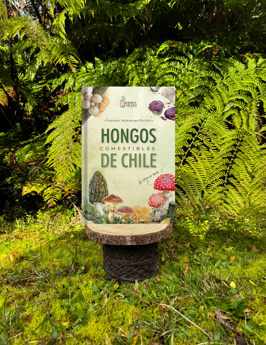 Hongos comestibles de Chile