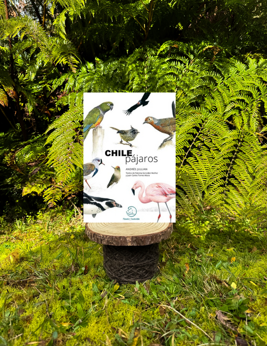Chile pajaros - Andrés Jullian