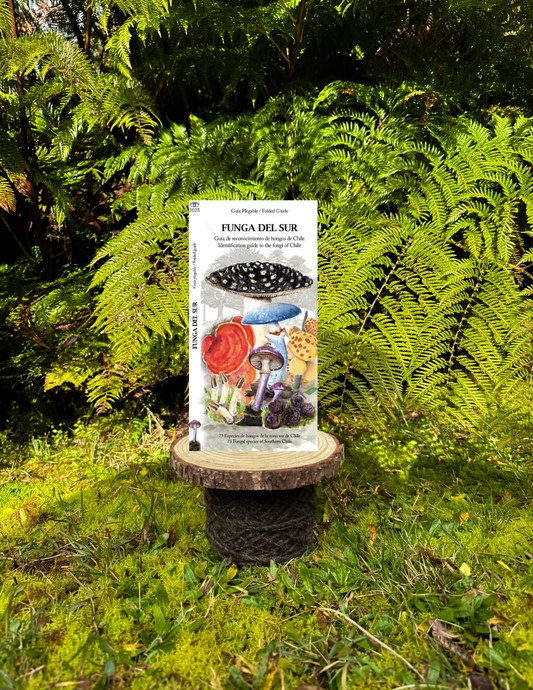 Funga del sur - Guía desplegable de hongos