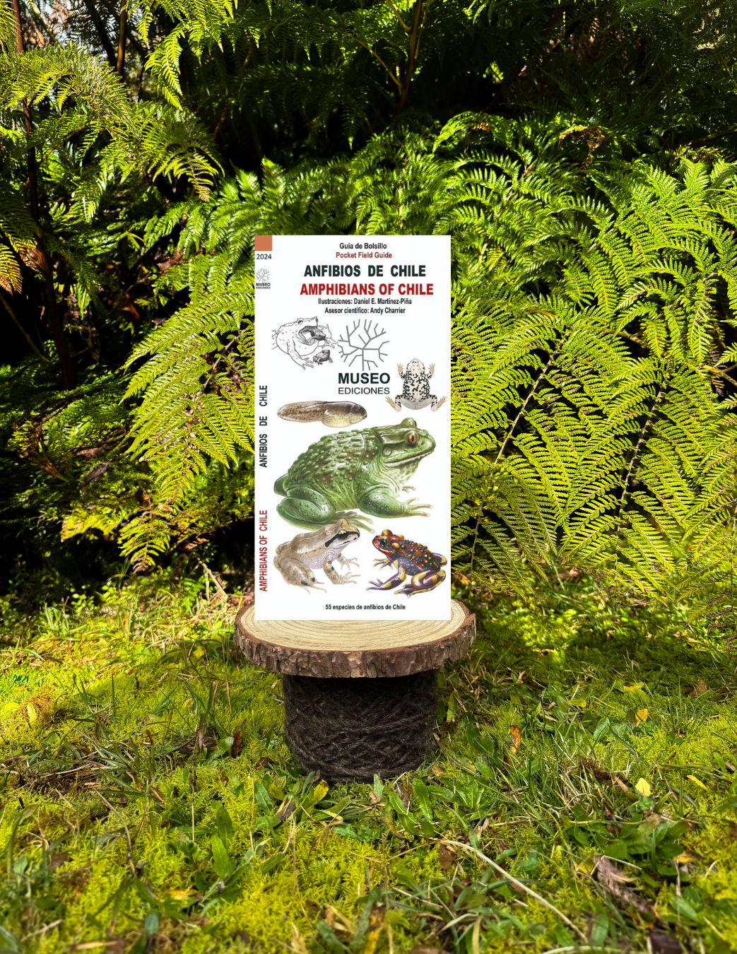Guía anfibios de Chile