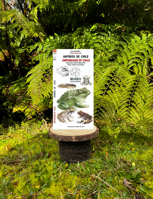 Guía anfibios de Chile