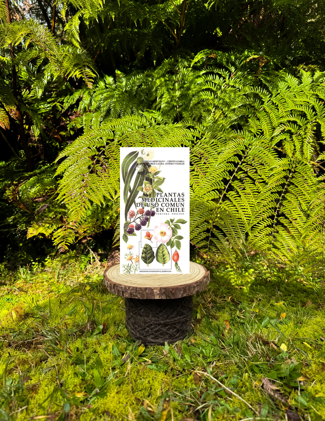 Plantas medicinales de uso común en Chile