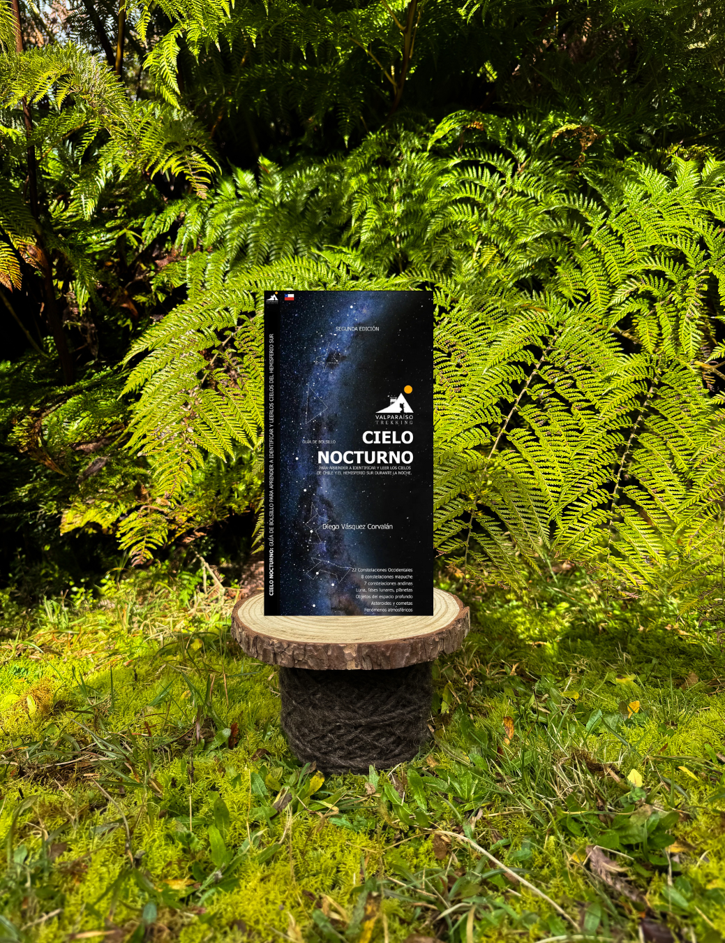 Guía Cielo nocturno