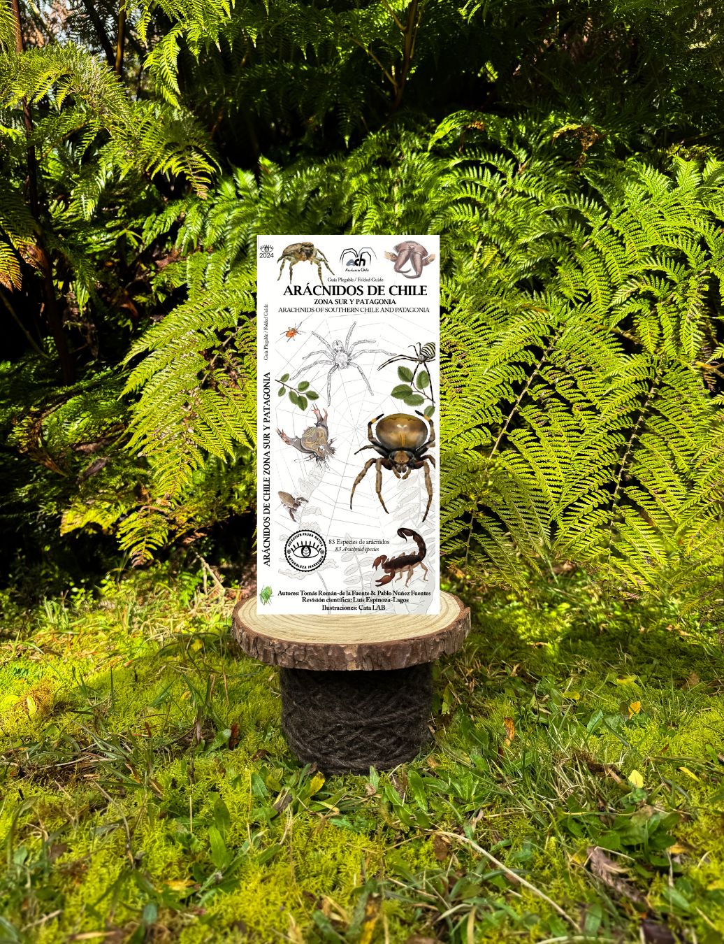 Guía arácnidos de Chile: Zona Sur y Patagonia