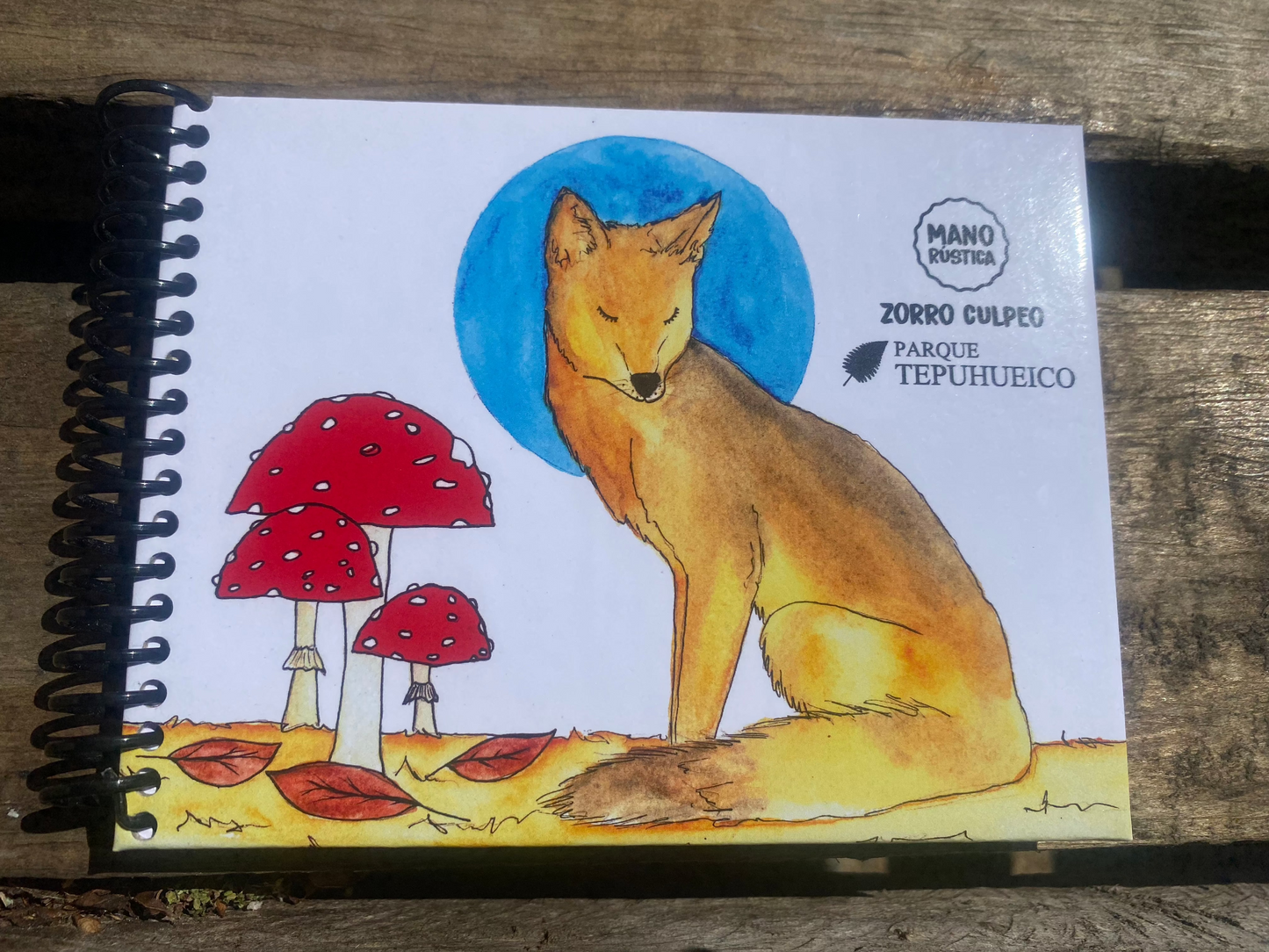 Libretas Mano rústica