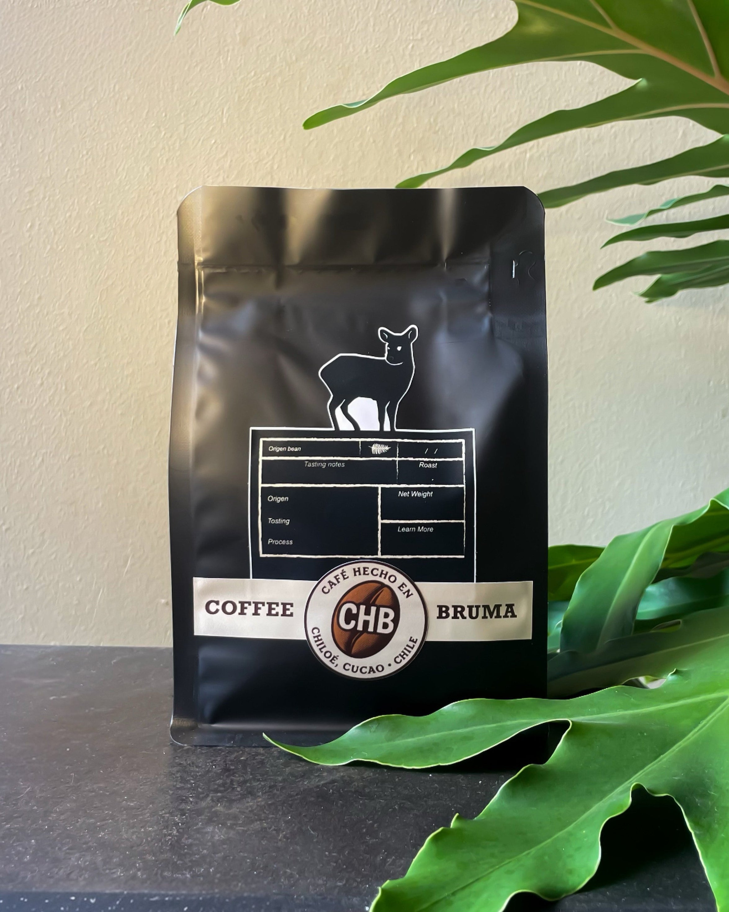 Café Bruma