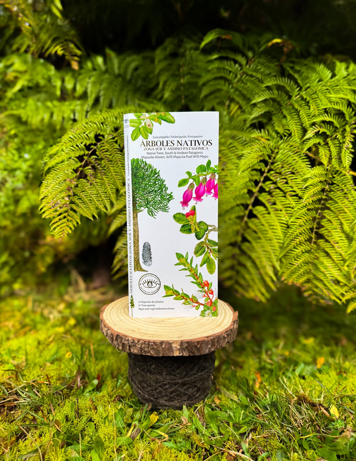 Guía árboles nativos zona sur y andino patagónica