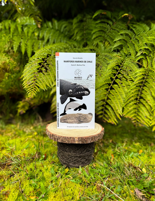 Guía mamíferos marinos de Chile