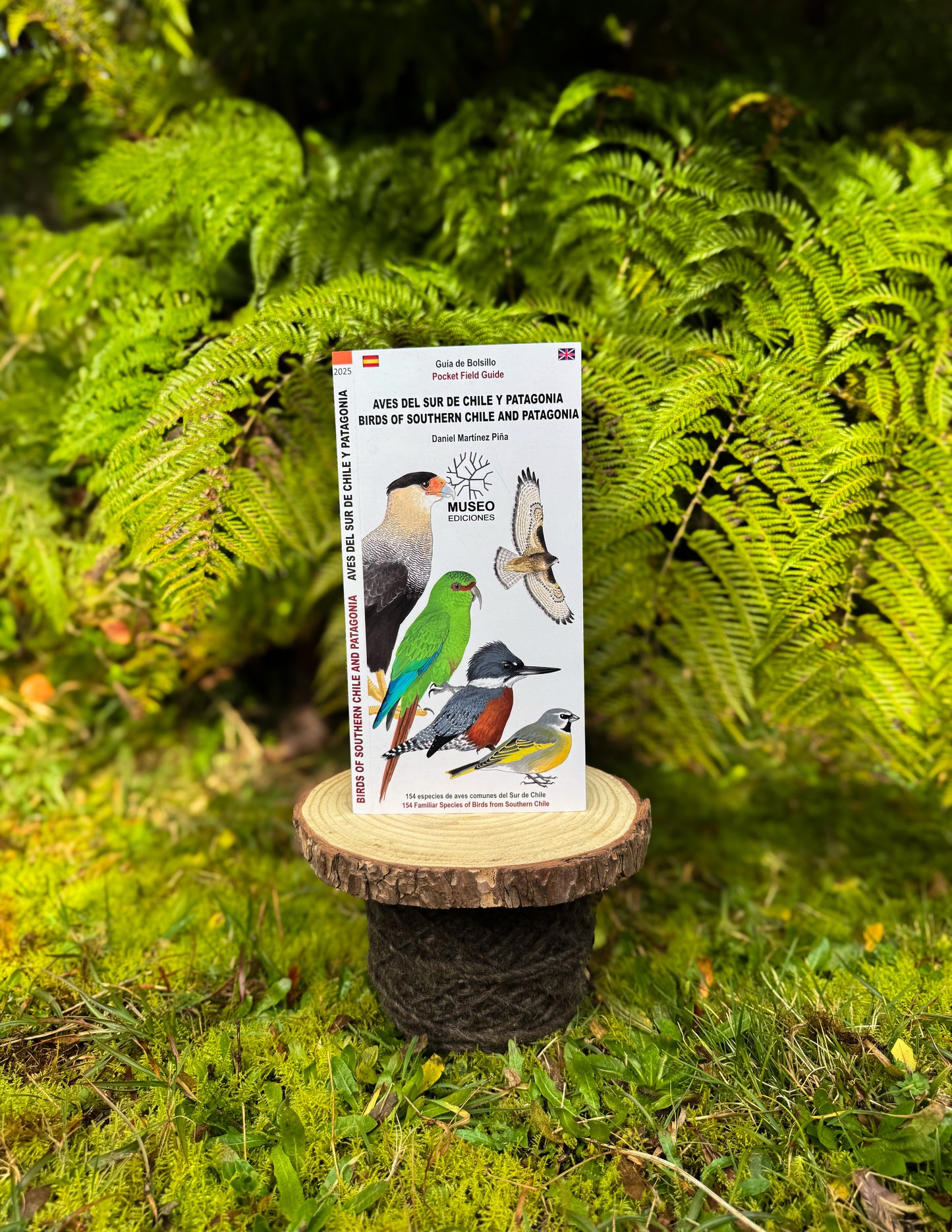 Guía aves del sur de Chile y Patagonia