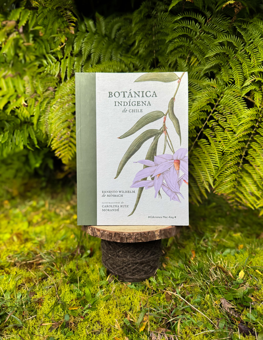 Botánica indígena de Chile