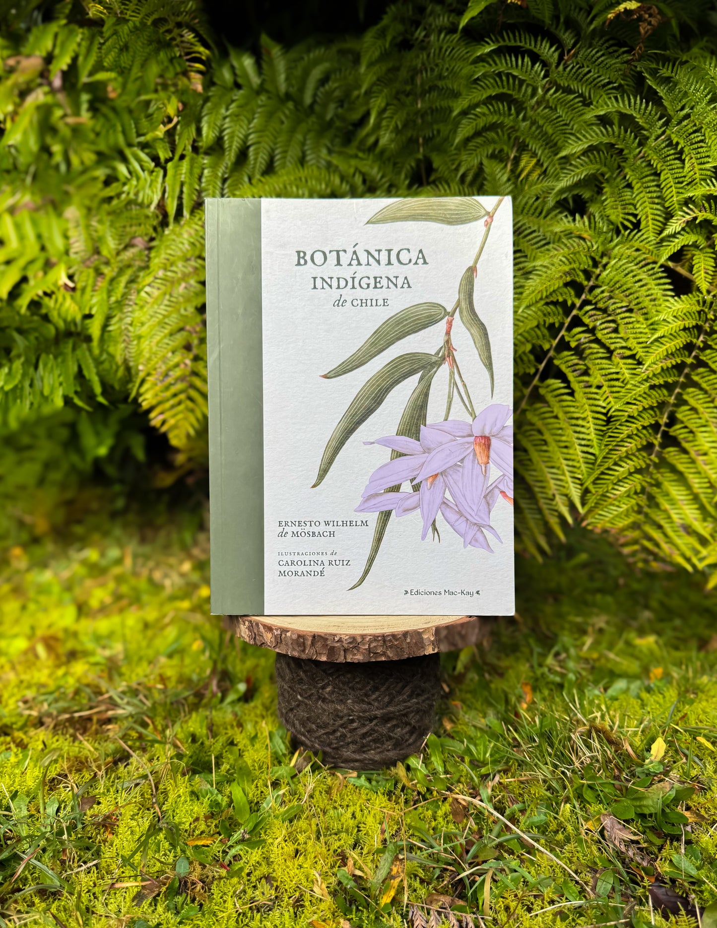 Botánica indígena de Chile