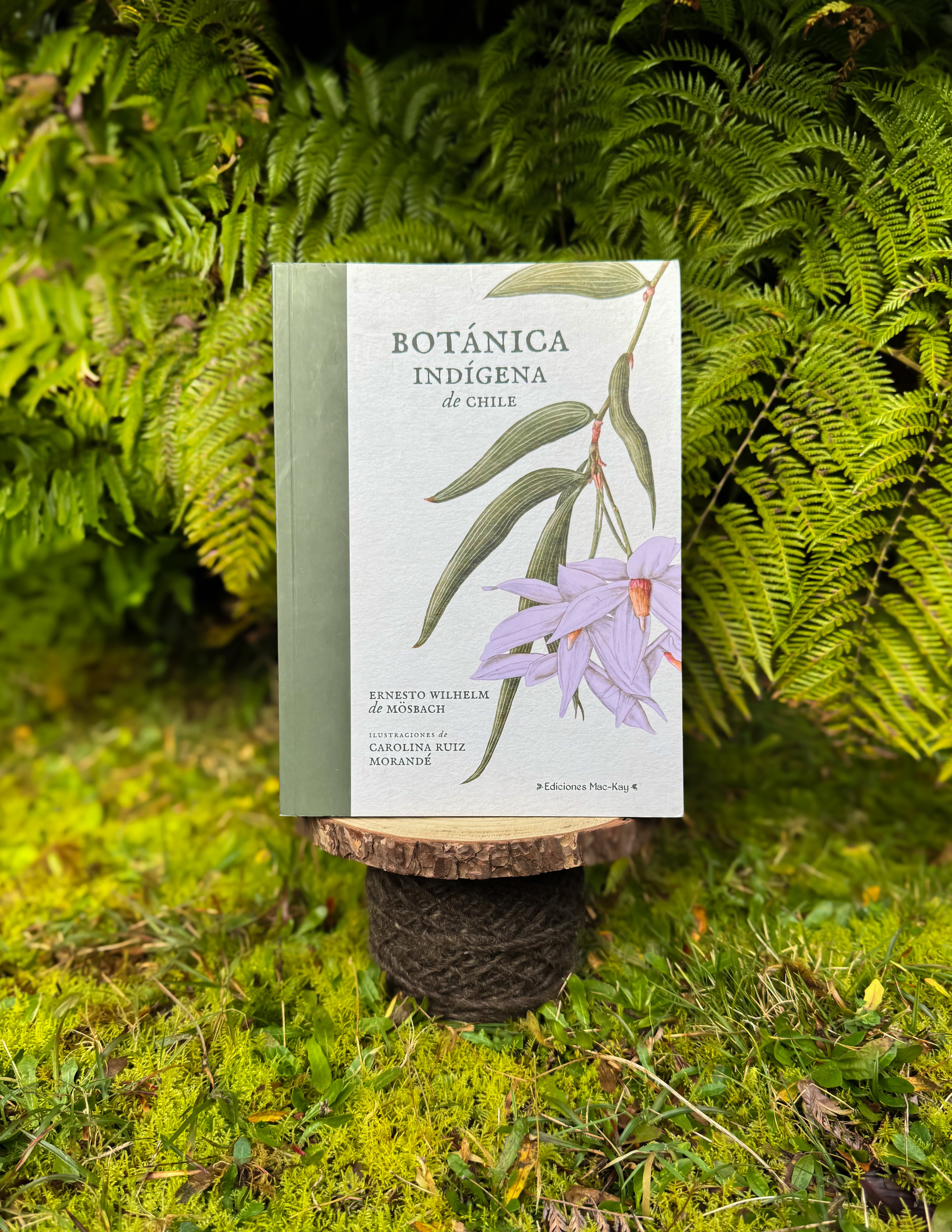 Botánica indígena de Chile