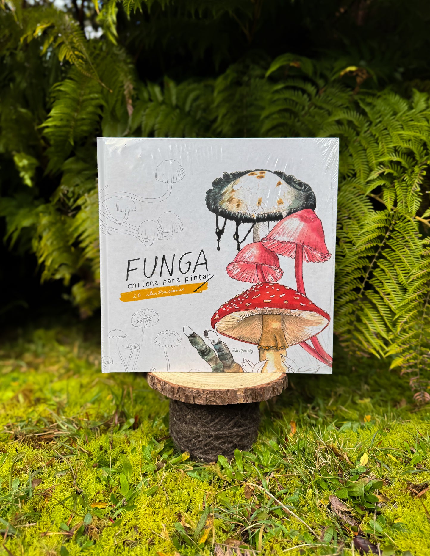 Funga chilena para pintar