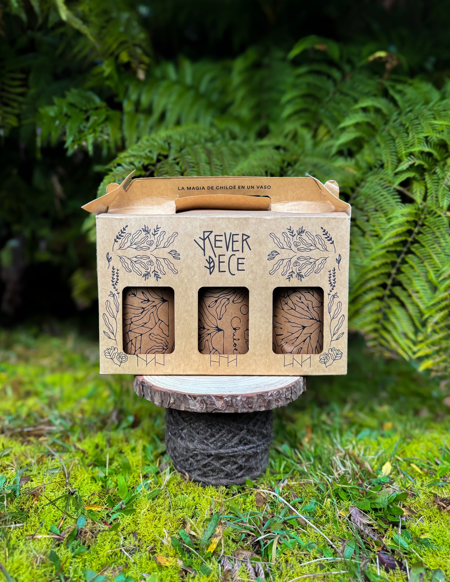 Vasos Parque Tepuhueico