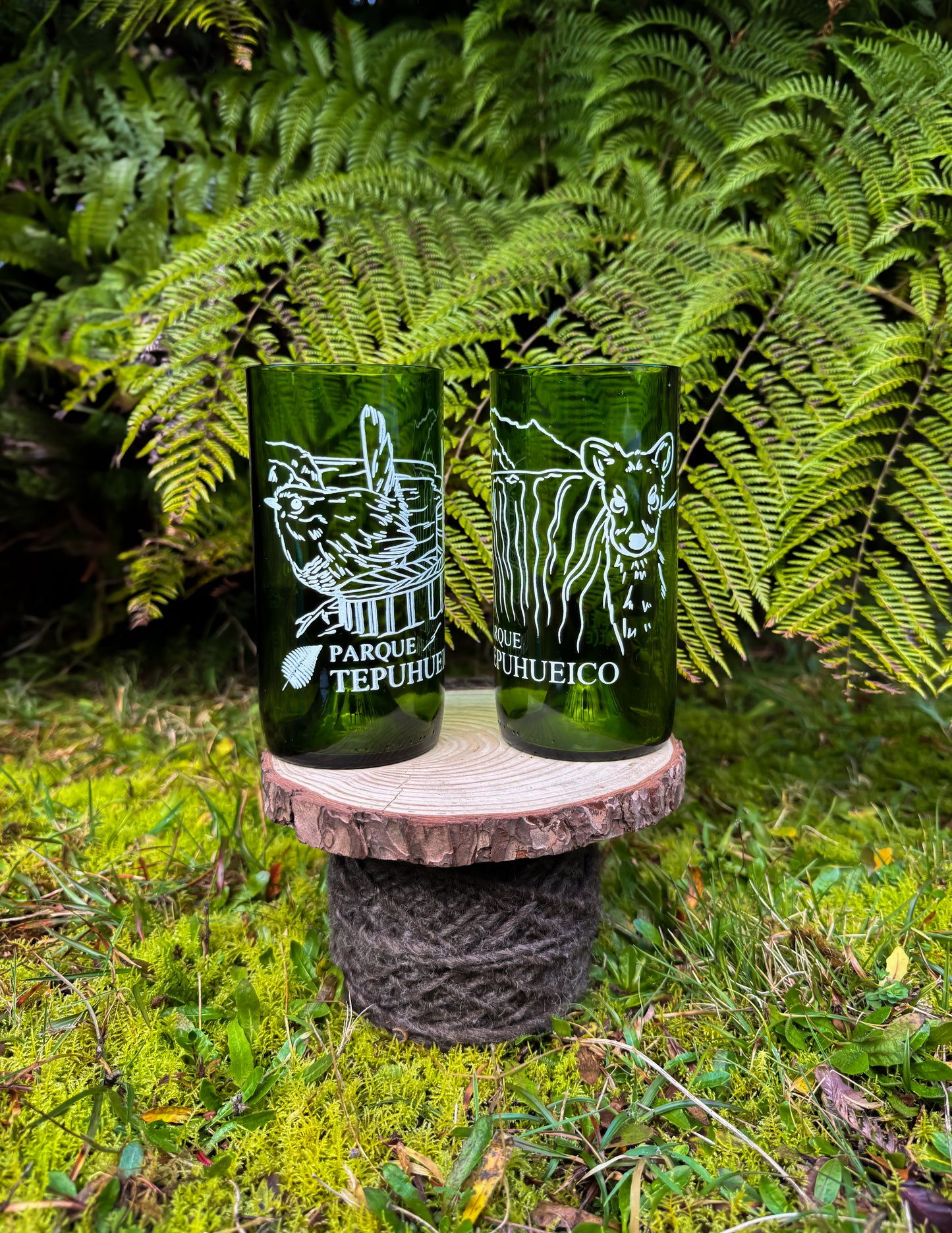 Vasos Parque Tepuhueico