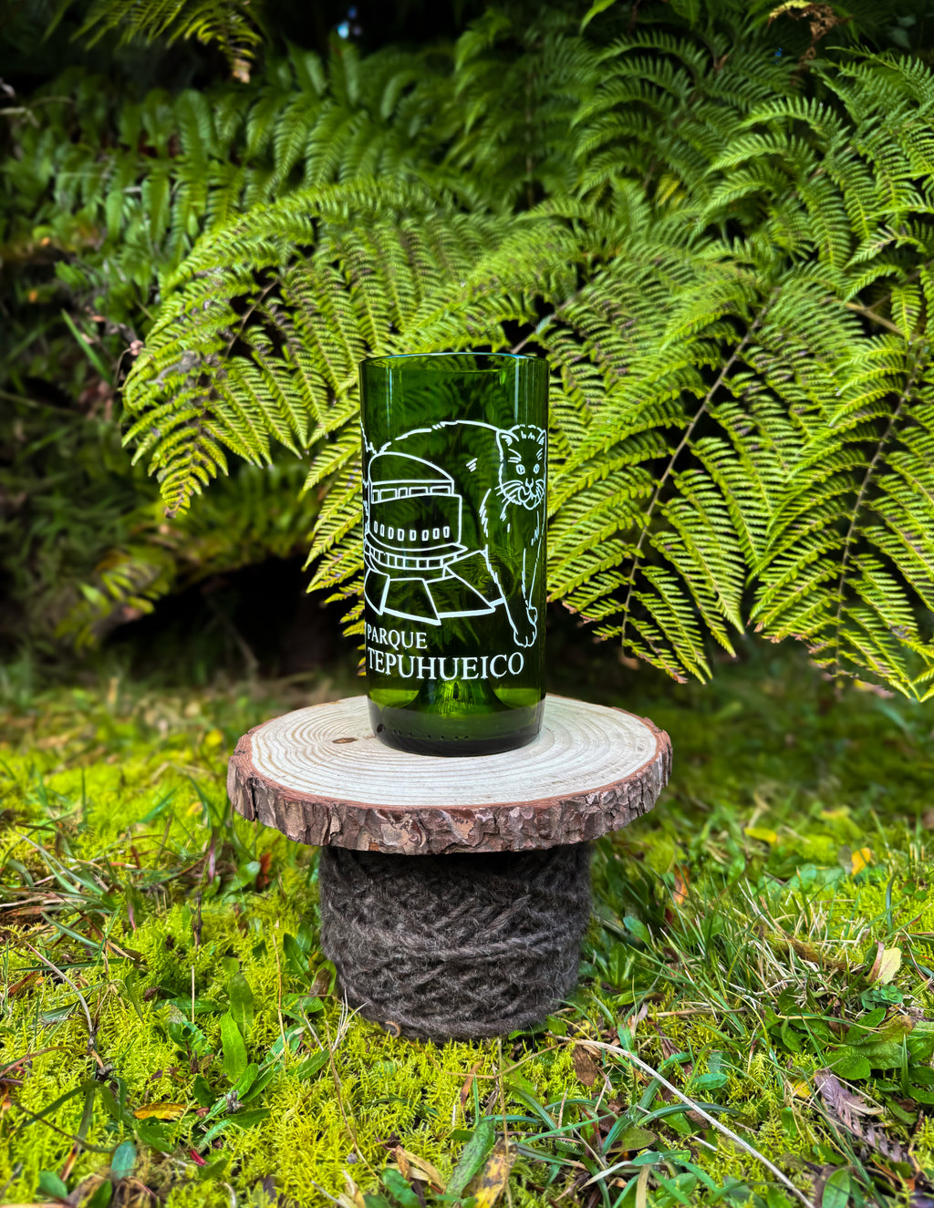 Vasos Parque Tepuhueico