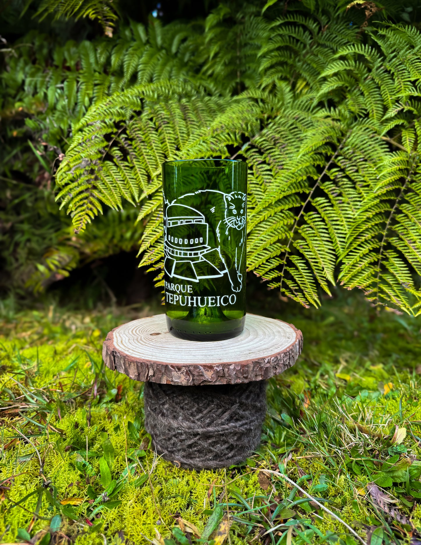 Vasos Parque Tepuhueico