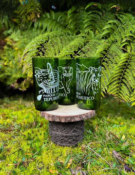 Vasos Parque Tepuhueico