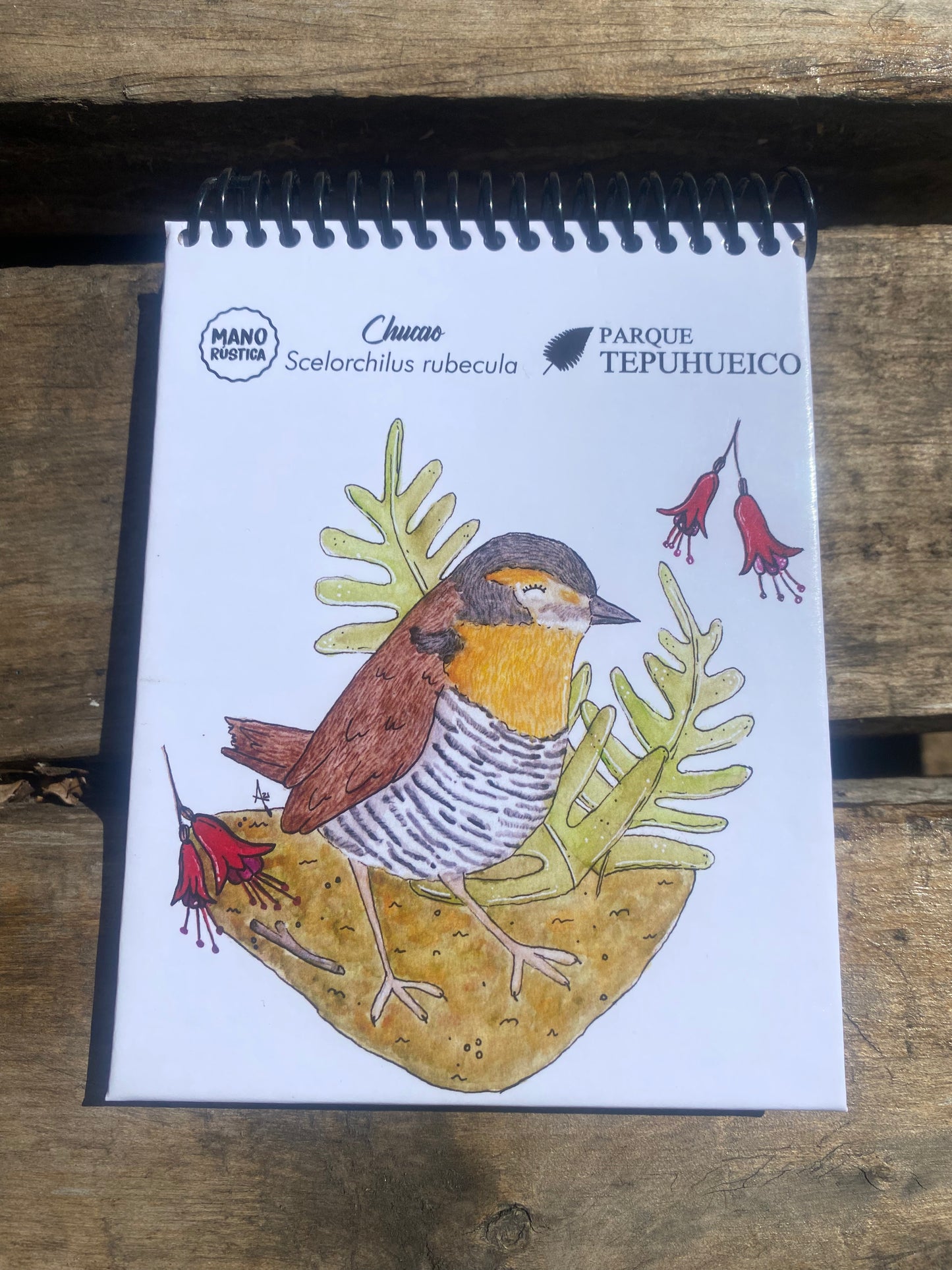 Libretas Mano rústica