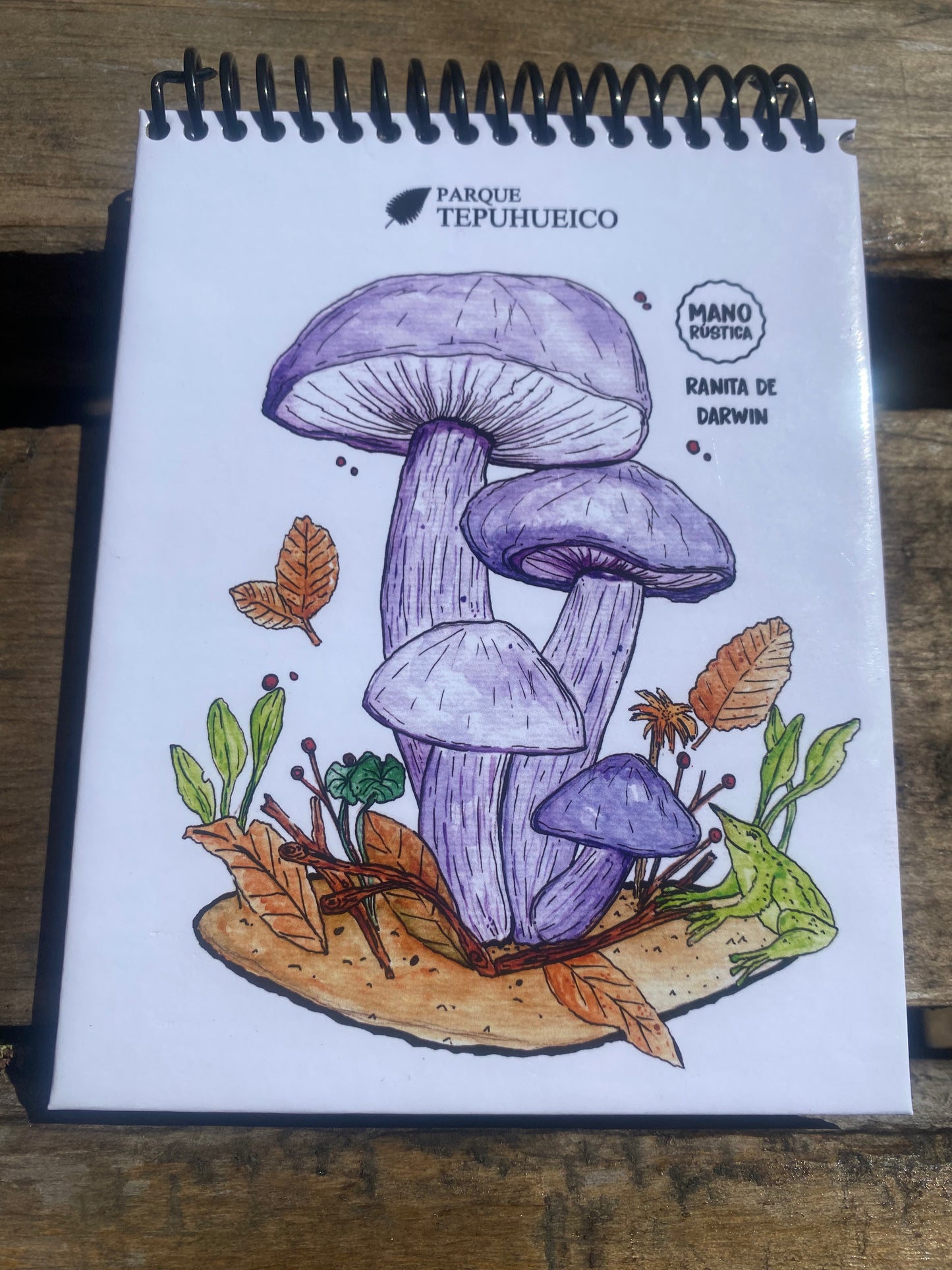 Libretas Mano rústica