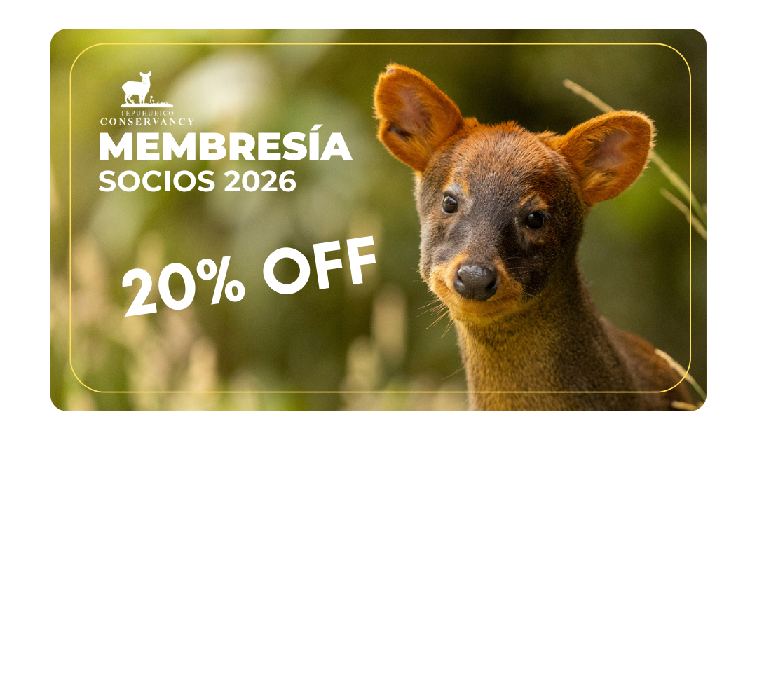 Membresía