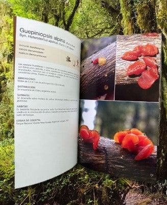 Guia de Campo Hongos de Chile