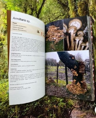 Guia de Campo Hongos de Chile