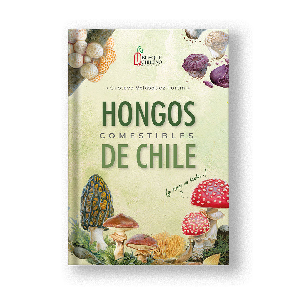Hongos comestibles de Chile